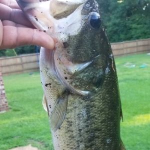 Meet your Posher, Ben